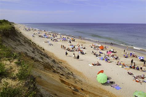 Dog friendly beaches cape cod. Things To Know About Dog friendly beaches cape cod. 